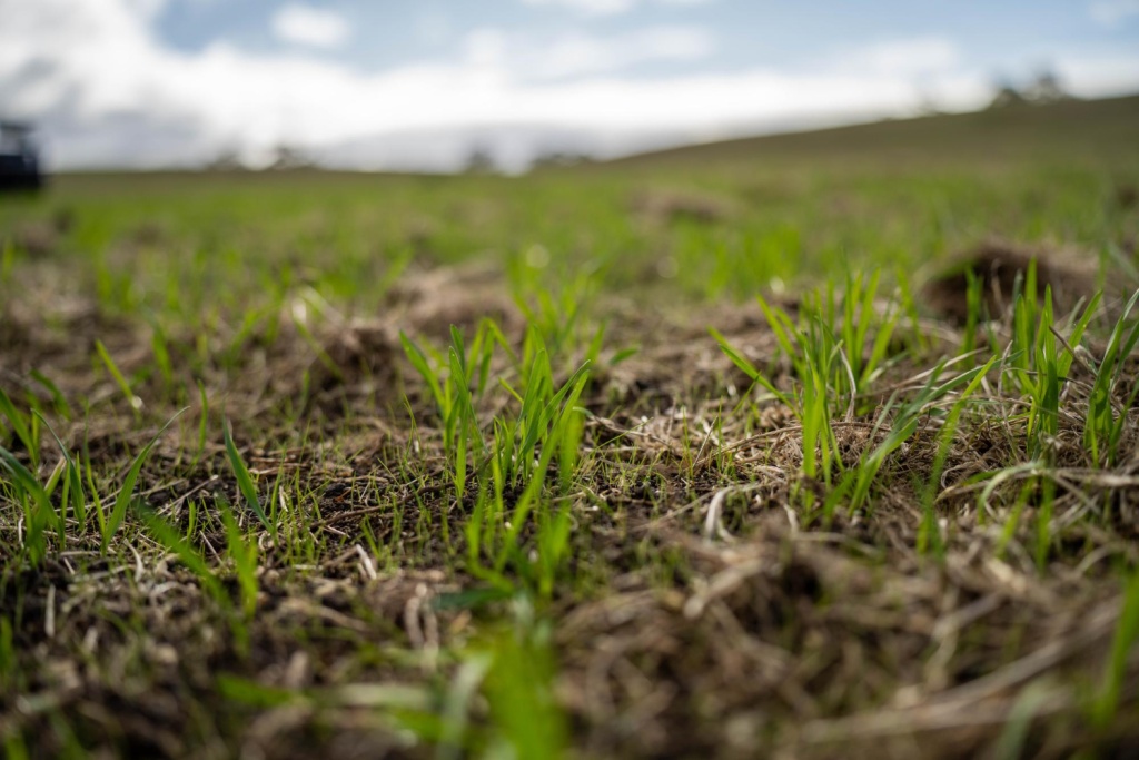 Многодетным семьям Ульяновска в этом году выделят свыше 570 бесплатных участков земли под индивидуальное жилищное строительство