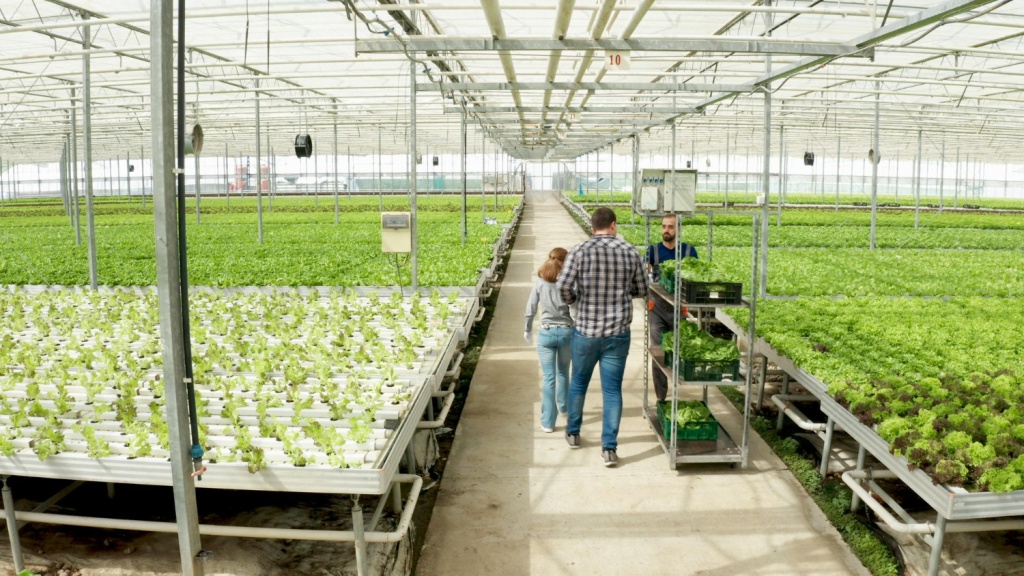 Губернатор Псковской области проверил модернизацию производства на агропредприятие "Победа"