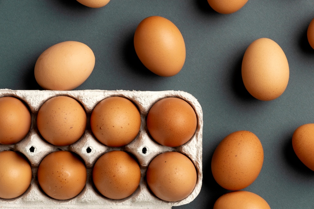 Россия может начать импорт яиц из Ирана