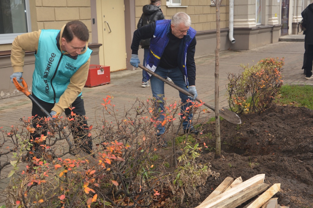 Воронежские депутаты высадили молодые клены у парка «Орленок» в преддверии Дня народного единства