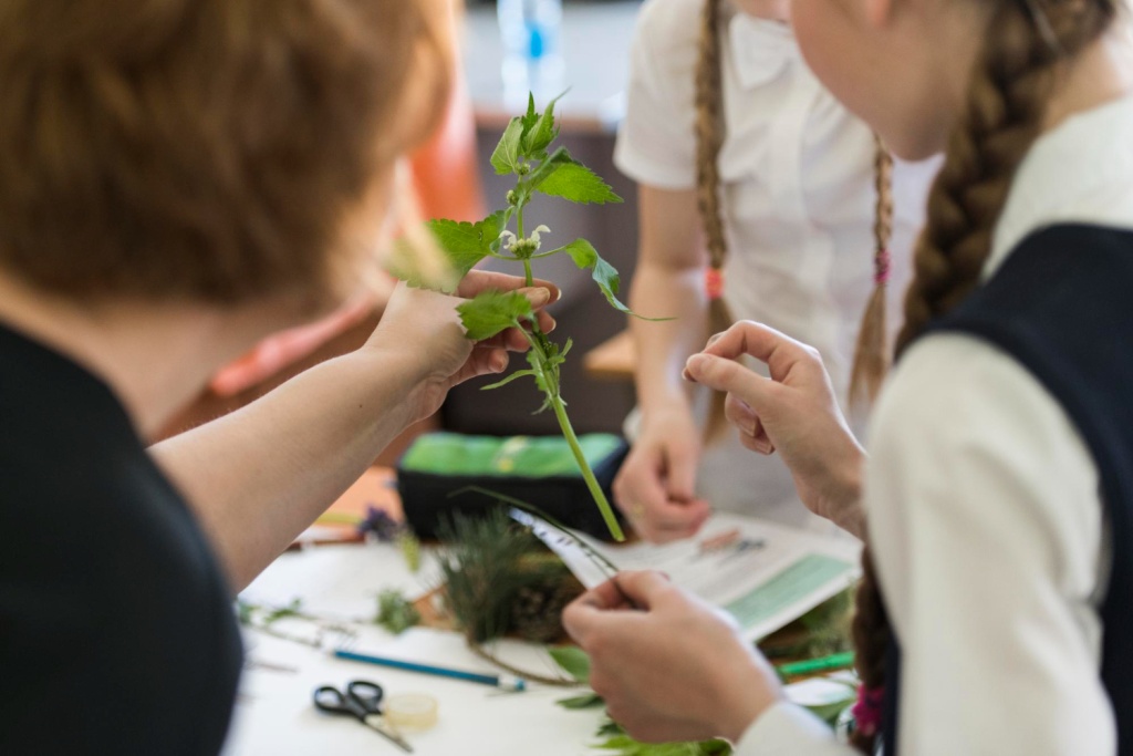 В посёлке Соколье Елецкого округа открыли агротехнический класс
