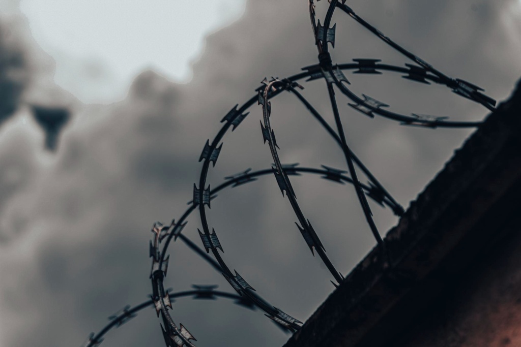 В Санкт-Петербурге главу финансовой пирамиды приговорили к 5 годам колонии