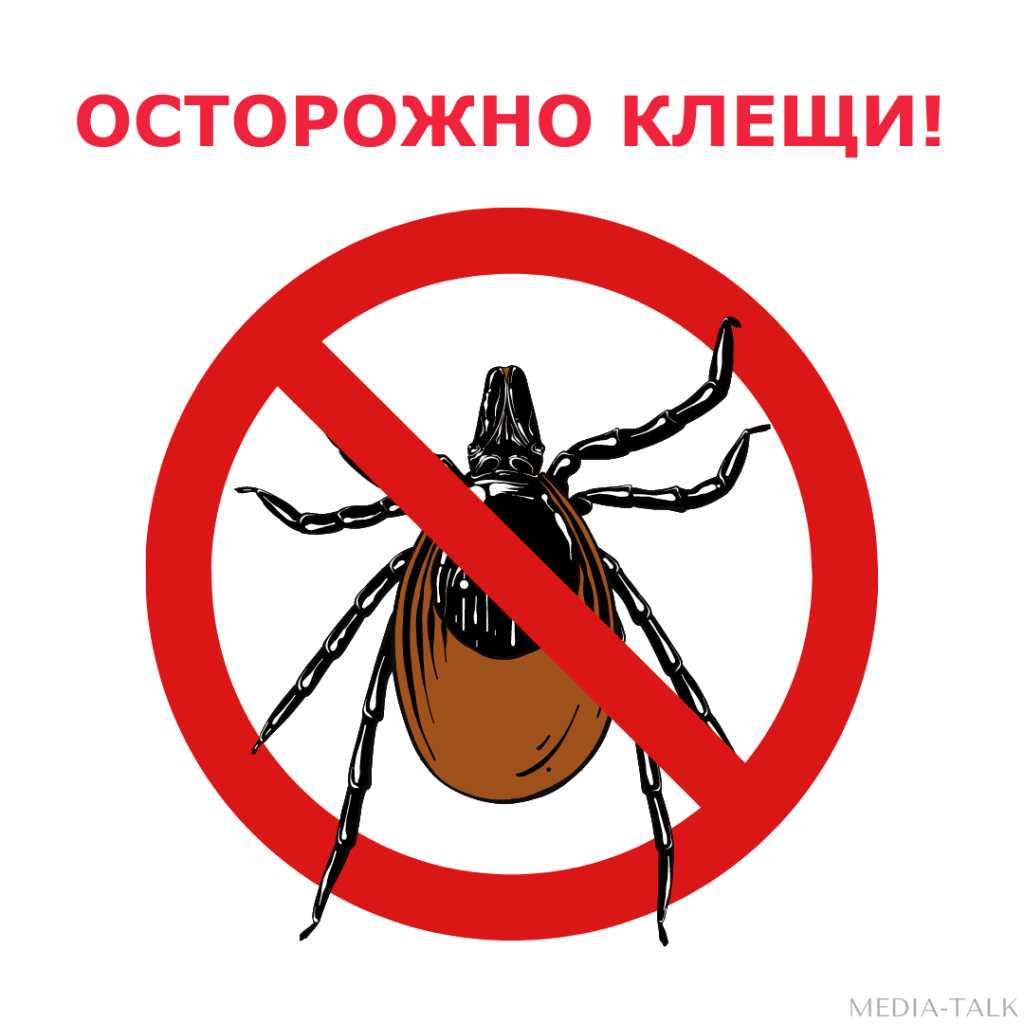 Инфекционисты предупреждают: клещи могут быть возбудителями и энцефалита, и боррелиоза одновременно Инфекционисты предупреждают: клещи могут быть возбудителями и энцефалита, и боррелиоза одновременно