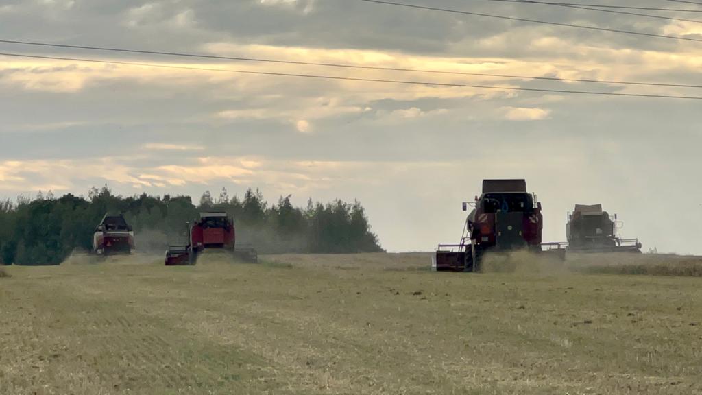 Мордовская компания «АРИВЕРА» борется за звание «Народного органического бренда»