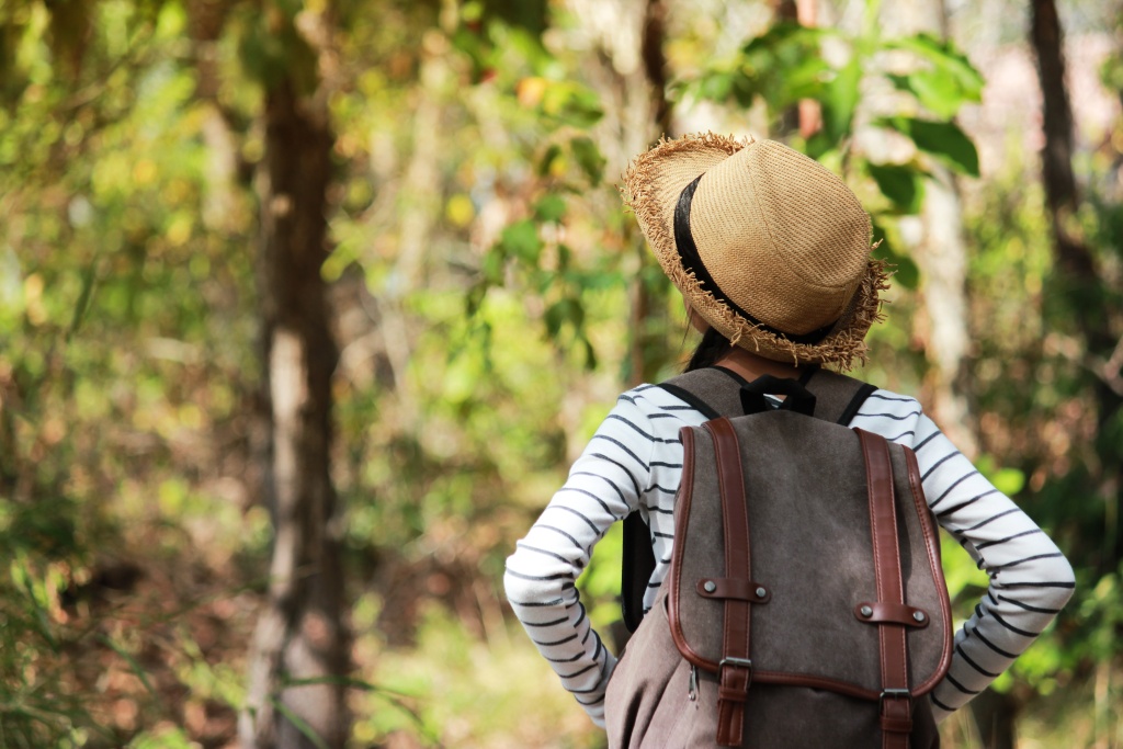 Благодаря реализации нацпроекта «Экологическое благополучие» Мордовия раскрывает экотуристический потенциал
