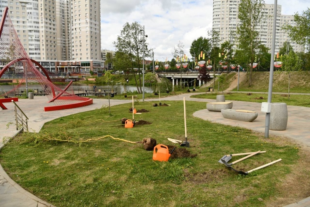 Зелёное обновление набережной Серебрянки: 95 новых деревьев украсили любимое место отдыха жителей подмосковного Пушкино