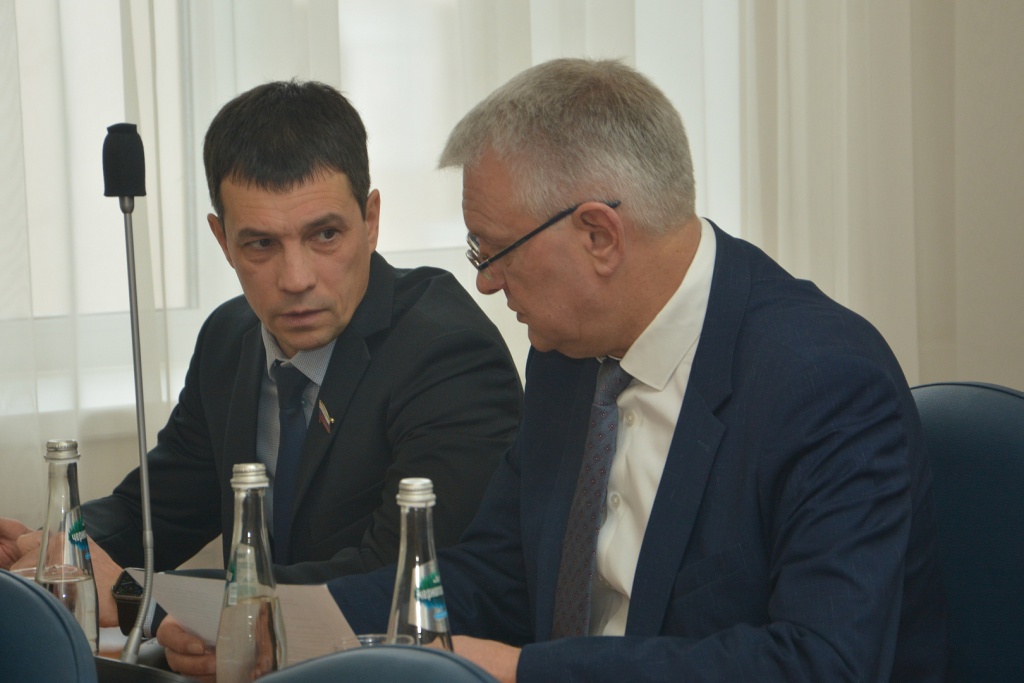 Депутаты воронежской Думы единогласно утвердили схему одномандатных избирательных округов