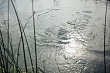 Ставропольского предпринимателя оштрафовали за недопуск граждан к водоёму