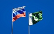 Россия и Пакистан укрепят связи: визовый режим станет проще