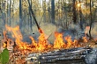 Первый аэростатный комплекс начал наблюдать за лесопожарной обстановкой на Вологодчине